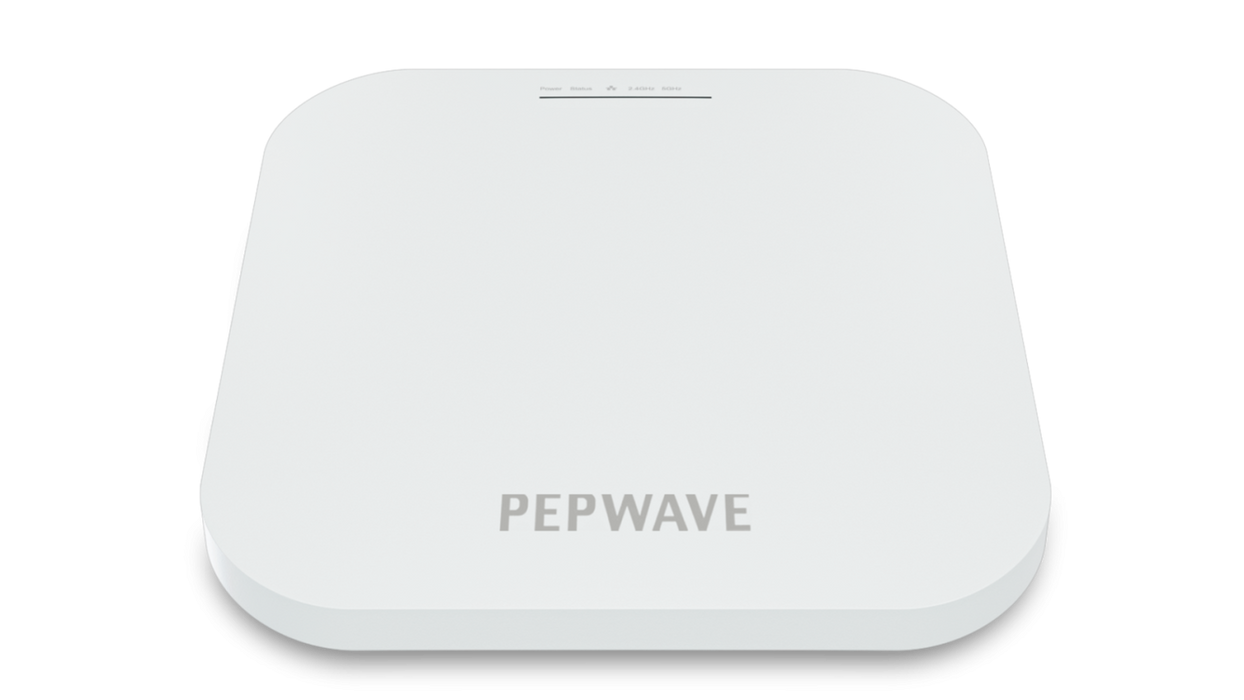 AP One AX PEPLINK
